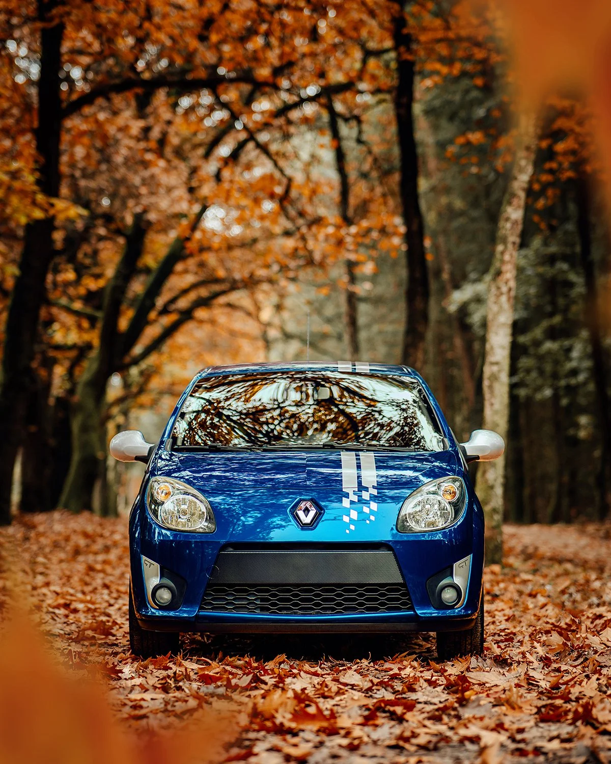 Renault_Twingo__by_Dowiegraphy_06.jpg