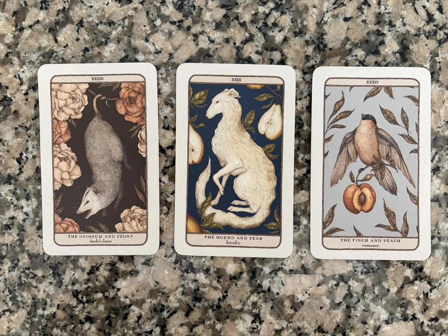 Pick a Card — January 3rd Supermoon in Cancer