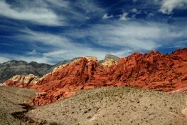 How to Treat a Scorpion Sting