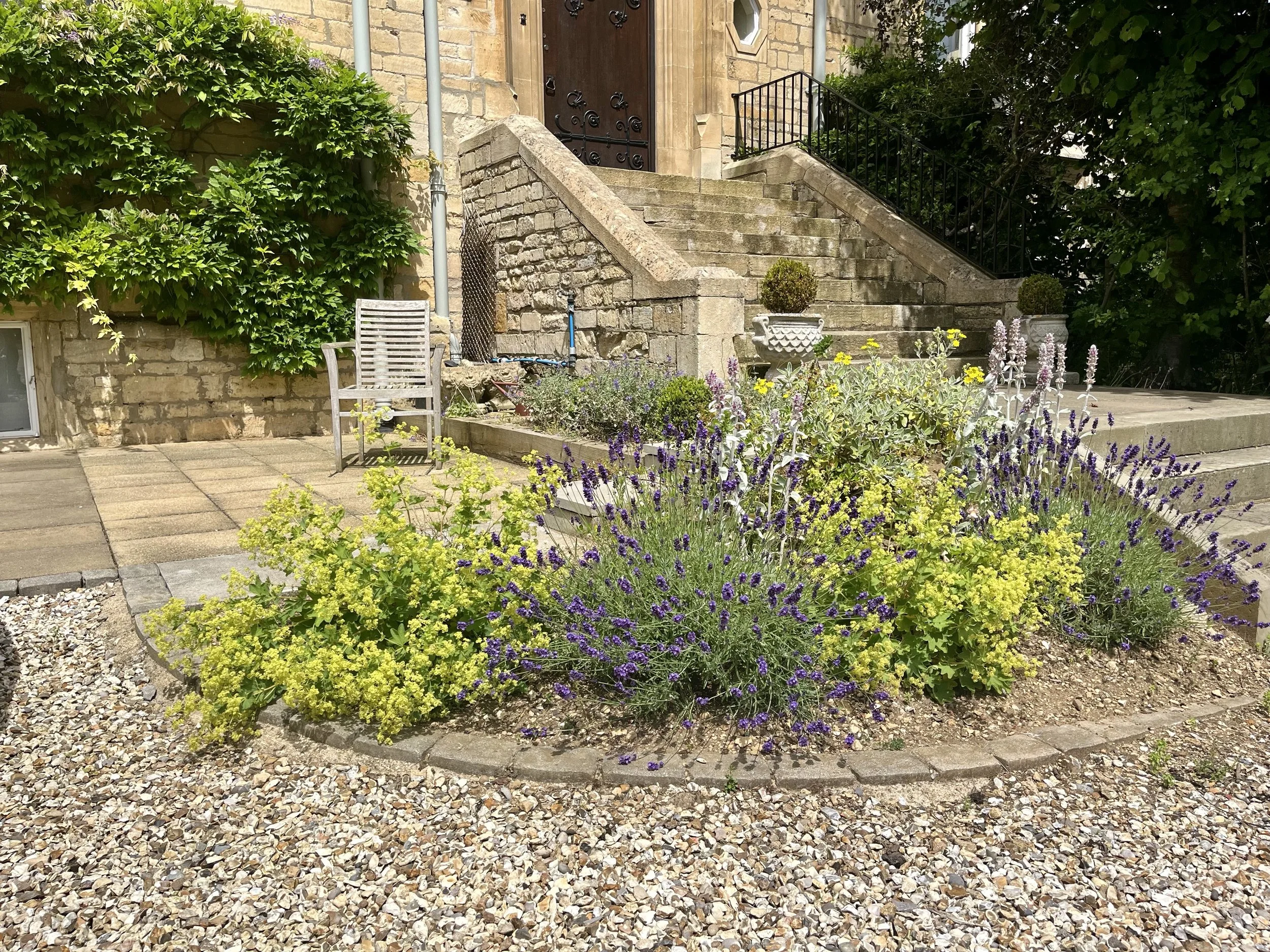 Established garden border in Stroud, Gloucestershire, featuring flowering lavender, alchemilla, salvia and evergreen topiary maintained by Tec Gardens.