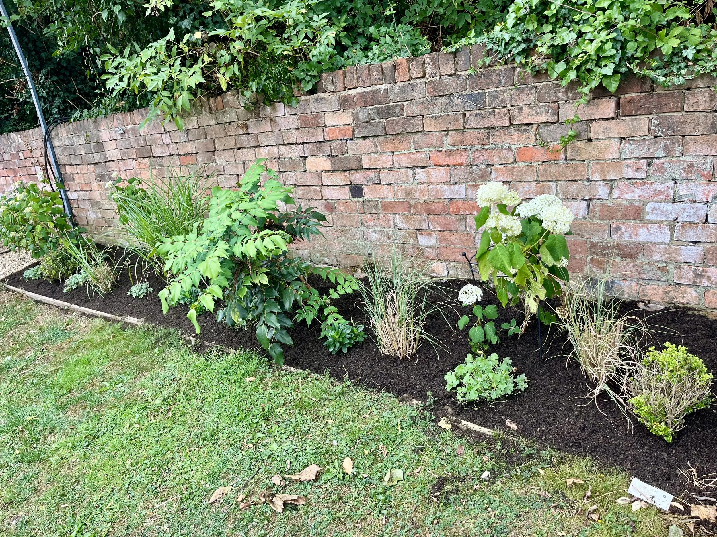 Professionally planted garden border in Stroud, Gloucestershire, featuring hydrangeas, ornamental grasses and evergreen shrubs by Tec Gardens.