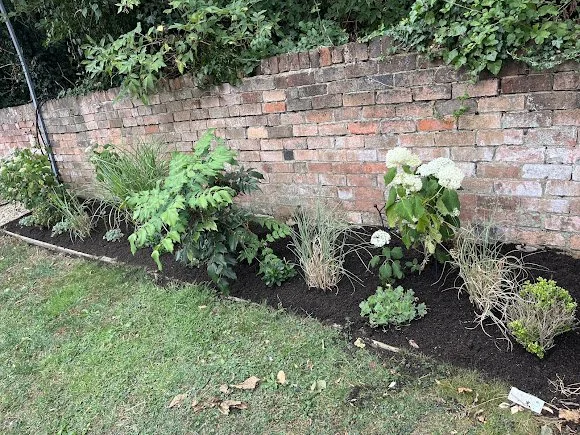 A garden bed with various plants and shrubs along a brick wall, with a grassy lawn in the foreground.