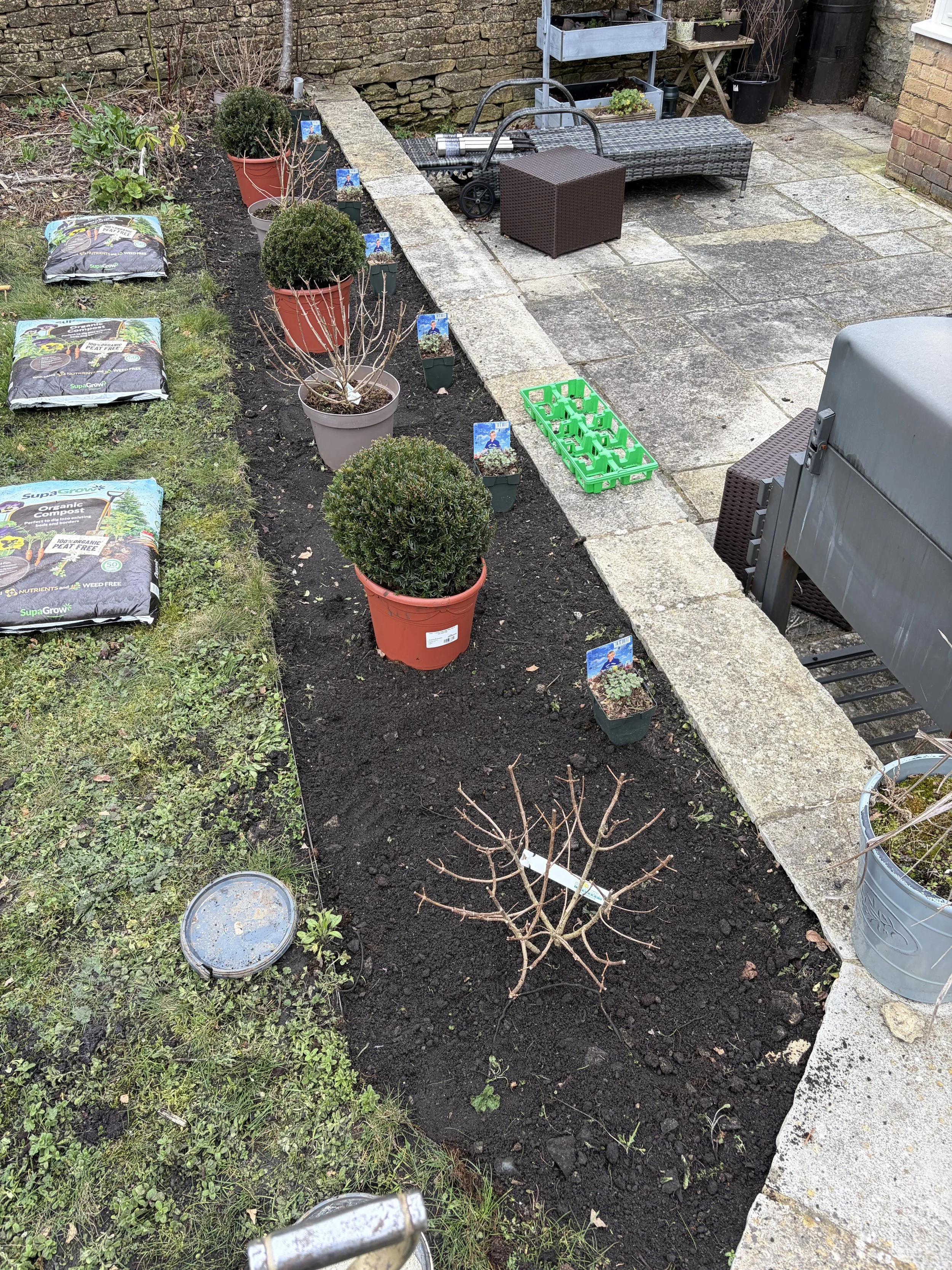 Professional garden border planting in Stroud, Gloucestershire, with evergreen topiary, shrubs and perennials planted by Tec Gardens.