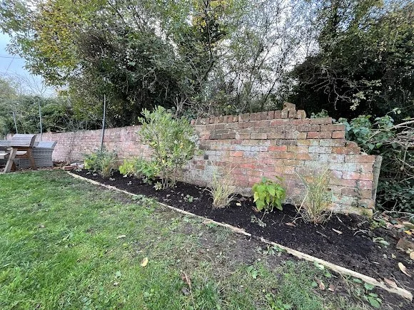 A newly planted garden bed with several small plants and shrubs, bordered by a wooden edge, next to a weathered brick wall and a grassy yard with trees in the background.