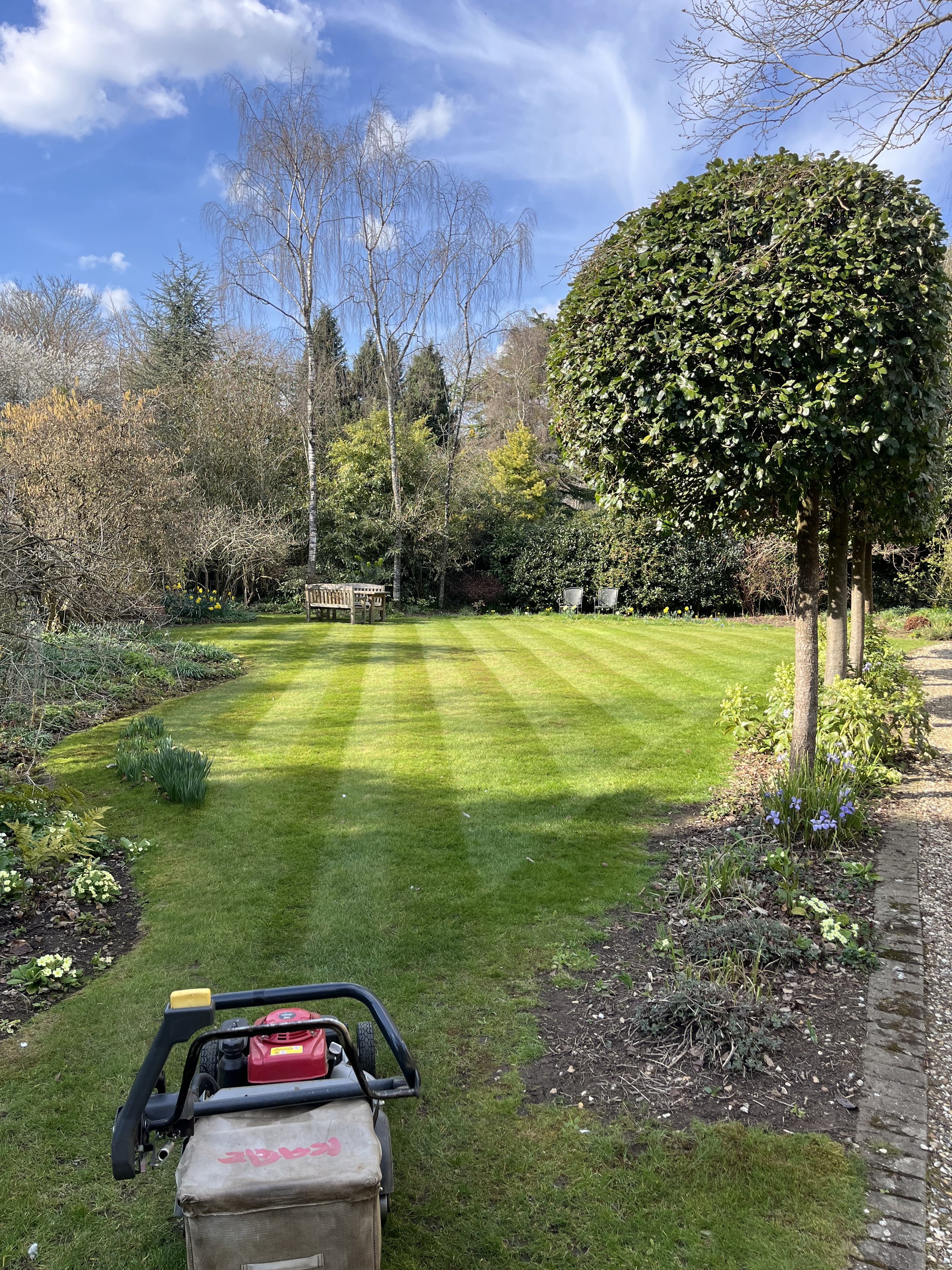Professional lawn mowing in Stroud, Gloucestershire, with a neatly striped lawn maintained alongside established borders, hedges and mature garden planting.