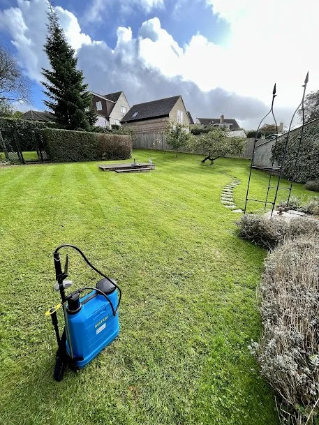 A backyard lawn with a gardenwork sprayer in the foreground, a pathway made of stepping stones, a trampoline, a garden bed, tall trees, and houses in the background under a partly cloudy sky.