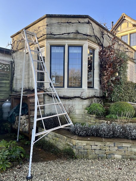Exterior of a house with a large bay window, ivy climbing the wall, a metal ladder leaning against the house, a garden bed with plants, and a gravel pathway.