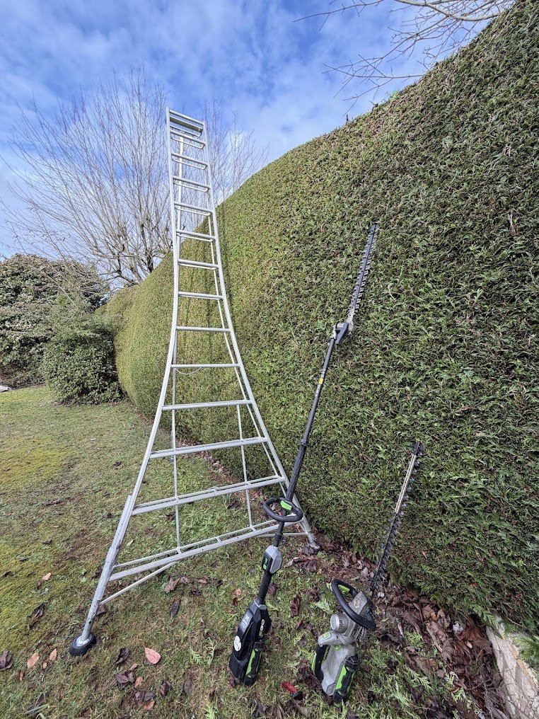 A tall metal ladder leaning against a neatly trimmed hedge in a yard, with a hedge trimmer and an electric leaf blower placed on the ground nearby.
