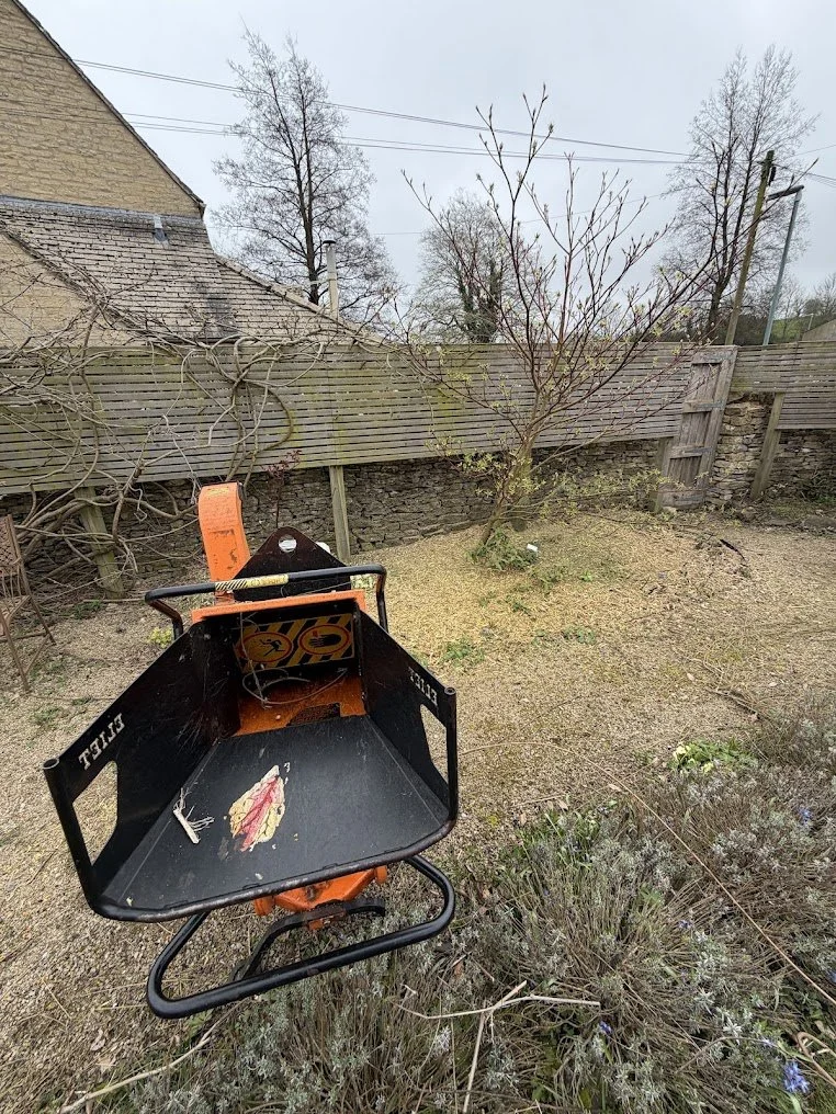 A small backyard with a tree, a wooden fence, and a blue sky. A battered hockey net is lying on the ground in the yard.