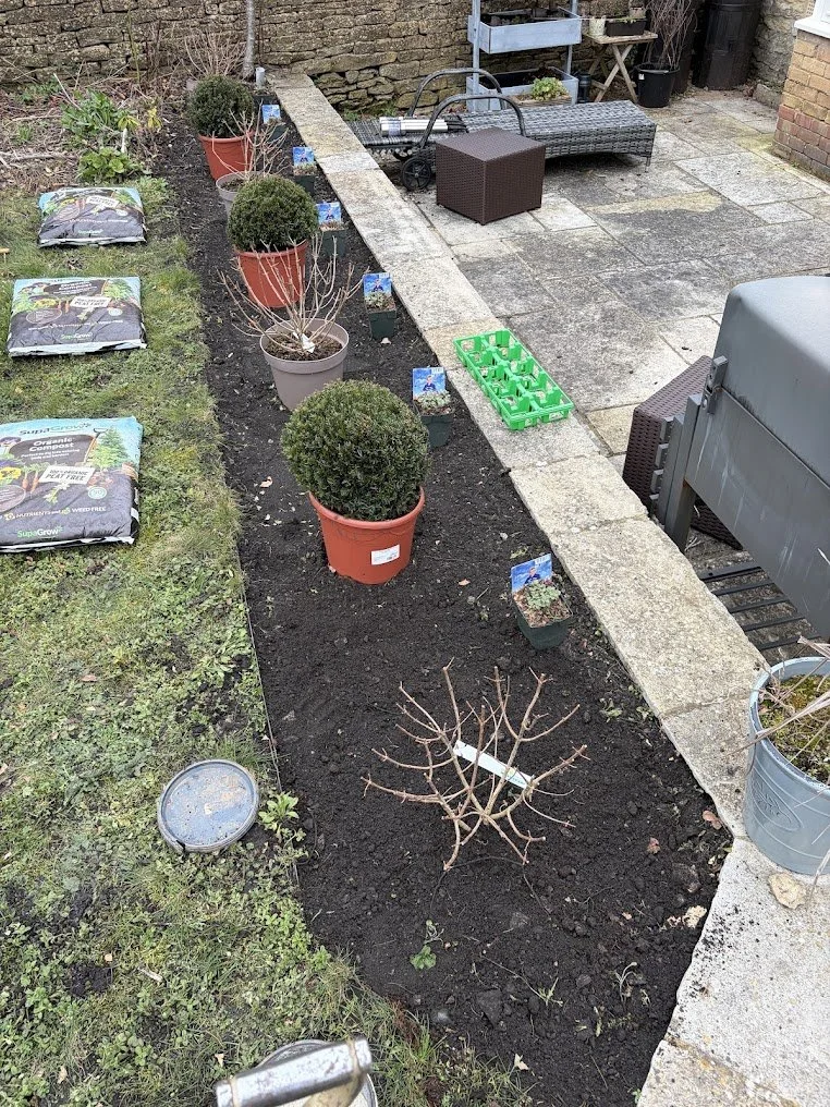 Gardening scene with potted plants, gardening supplies, and a small leafless plant in a garden bed.