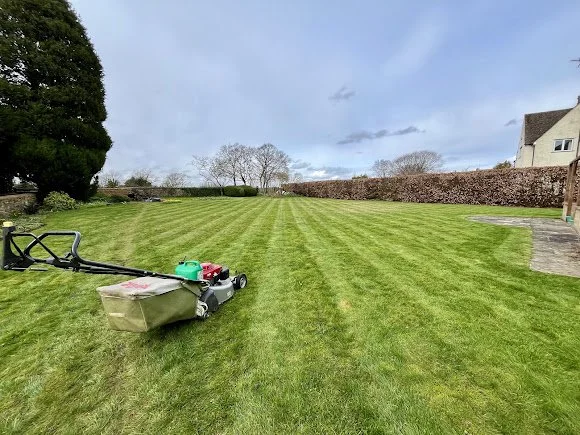 A lawn mower resting on freshly mowed grass in a backyard with a cloudy sky.