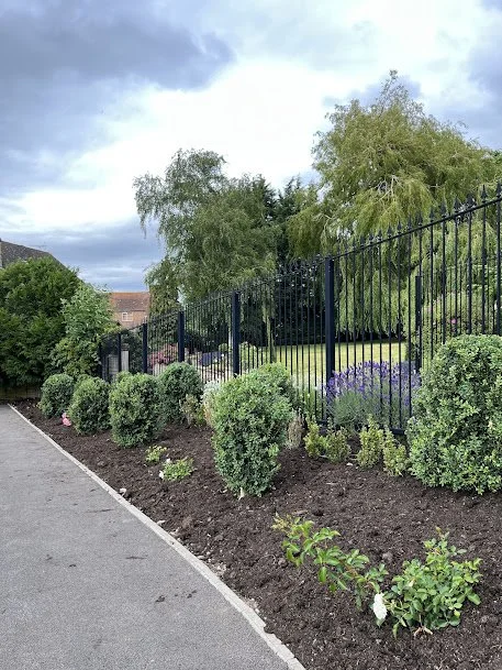 A landscaped sidewalk with trimmed bushes and flowering plants next to a black metal fence and tall trees under a cloudy sky.