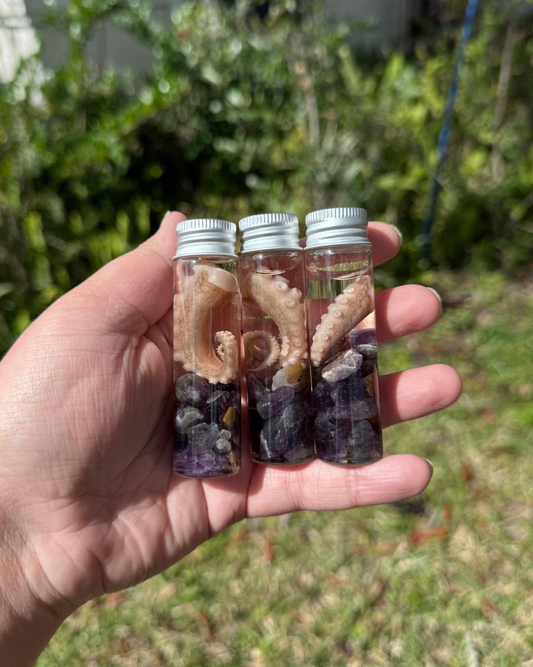 Squid Tentacle Trinket Jar