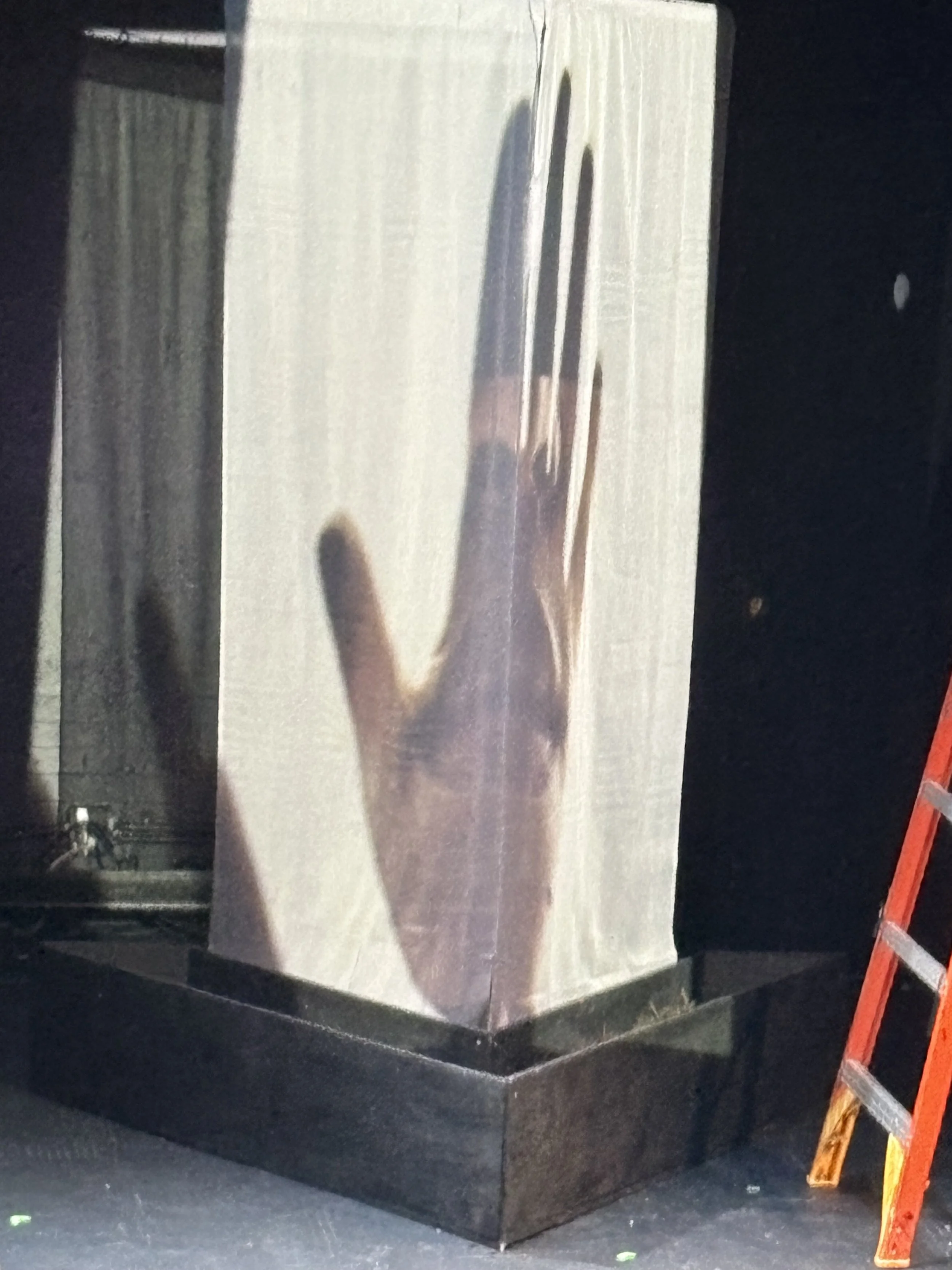 IMG_4115.jpeg