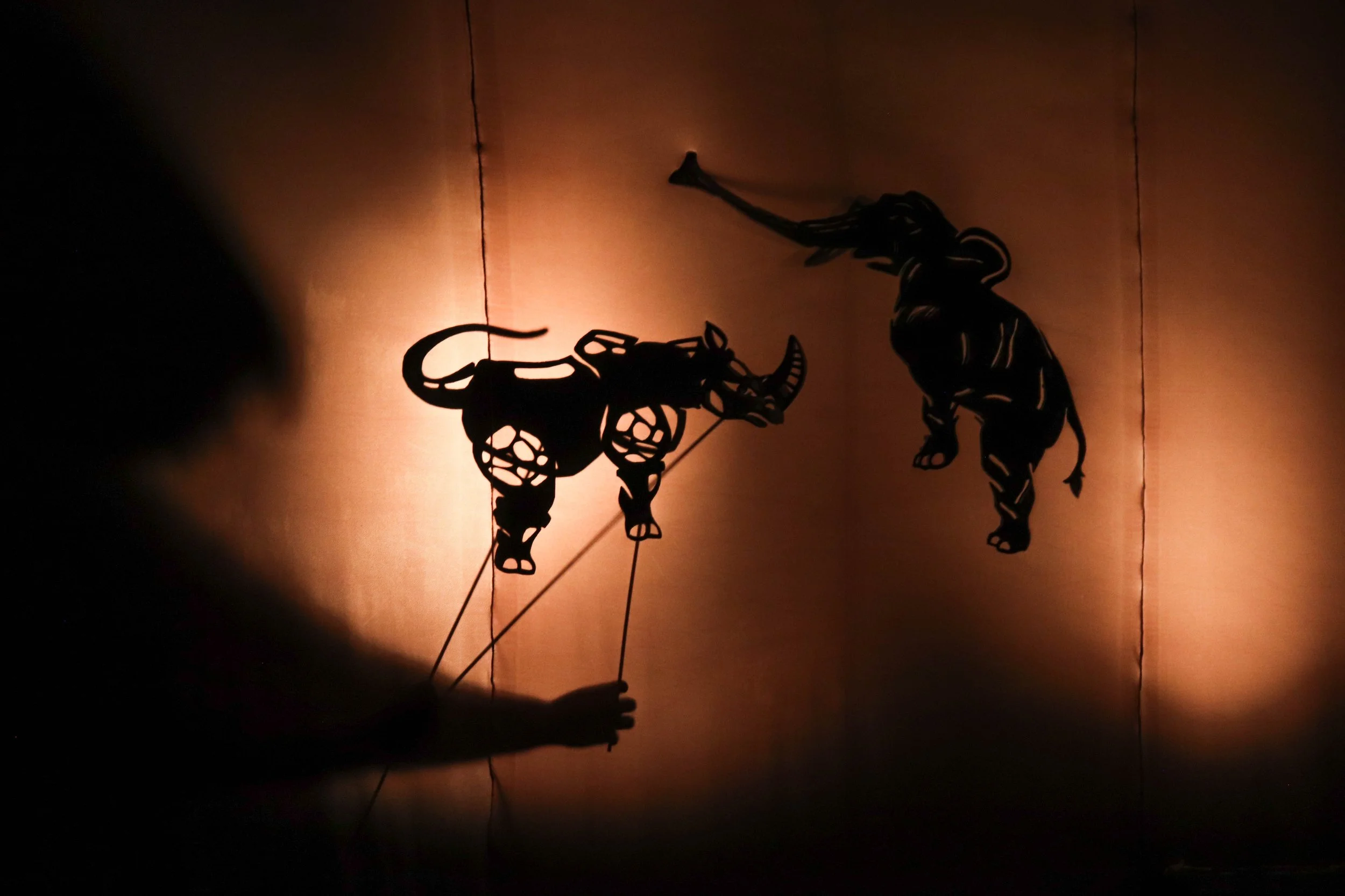 The Rhino - Sound Design and Music Composition