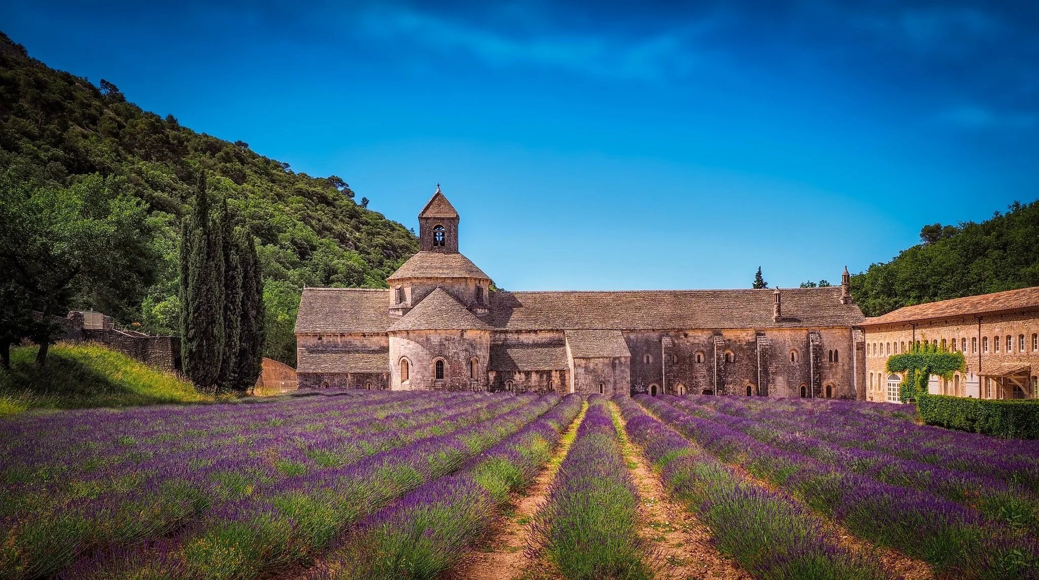 Abbaye de Sénanque près de Gordes