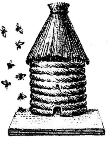 Local Buzz Reading Series