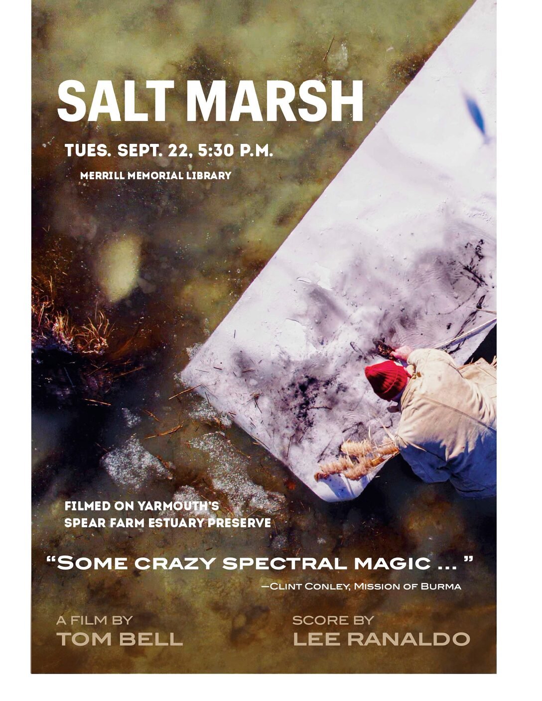 Salt Marsh