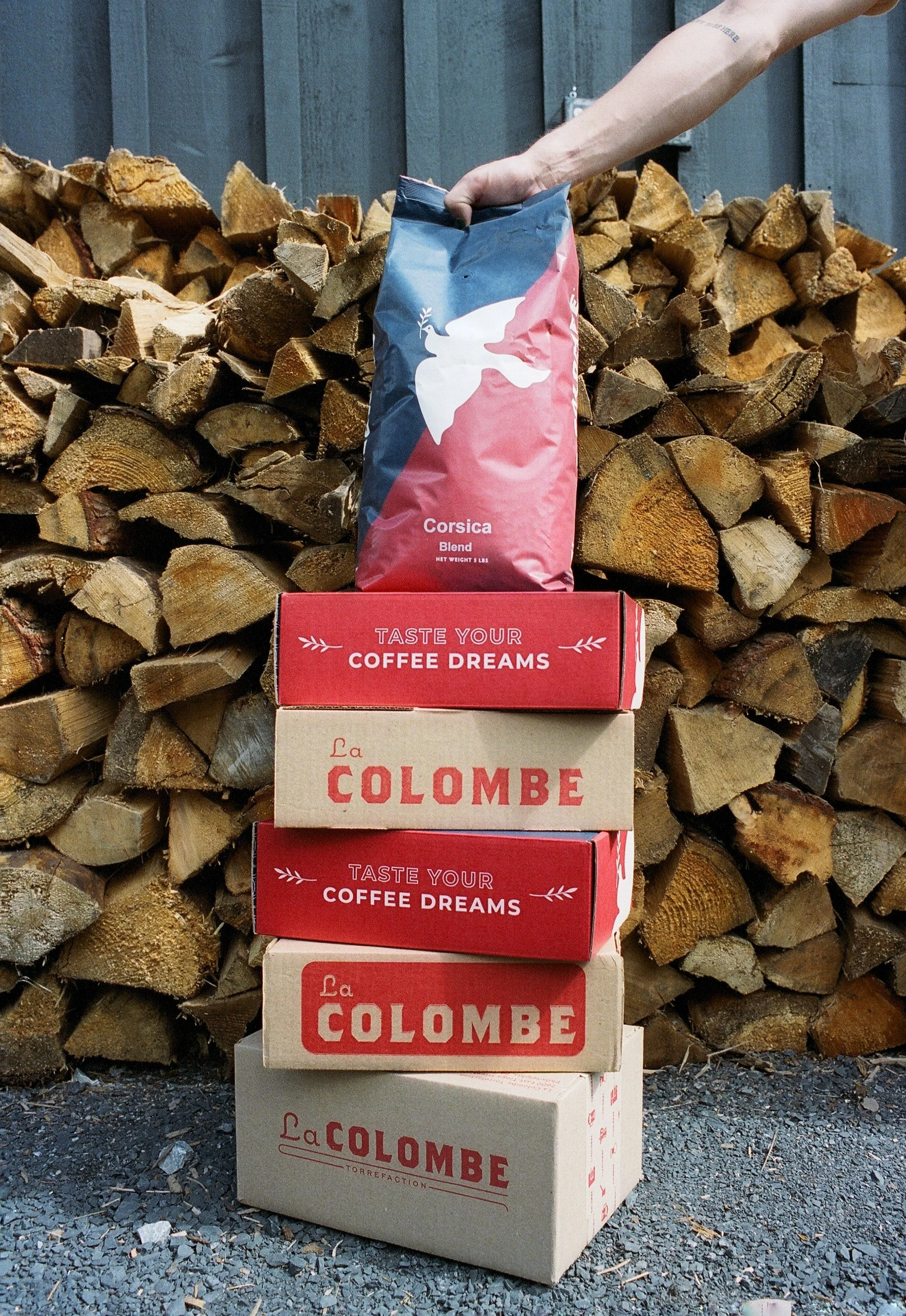 La Colombe Fall - 2023
Styled + Photographed