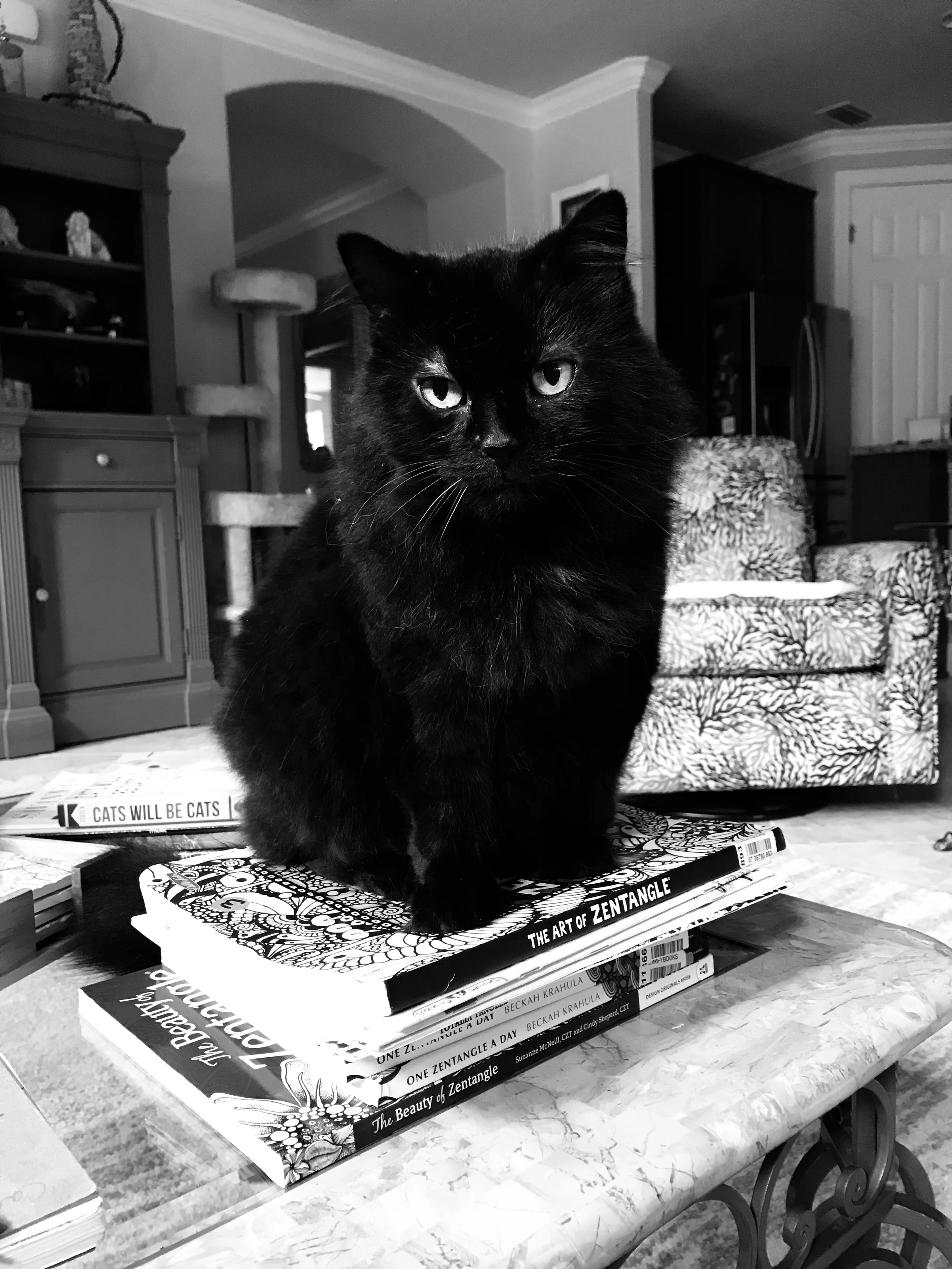 cat and zen tangle books