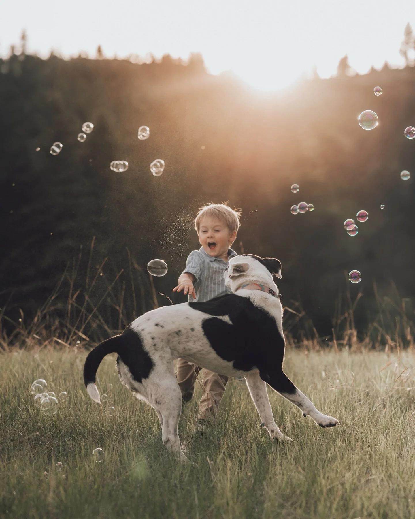 Some seasons of life deserve to be remembered exactly as they feel. Sometimes that means sticky toddler hands, bubbles floating through the air, the family dog running circles in the grass.

This is why I love family sessions so much. Not because eve