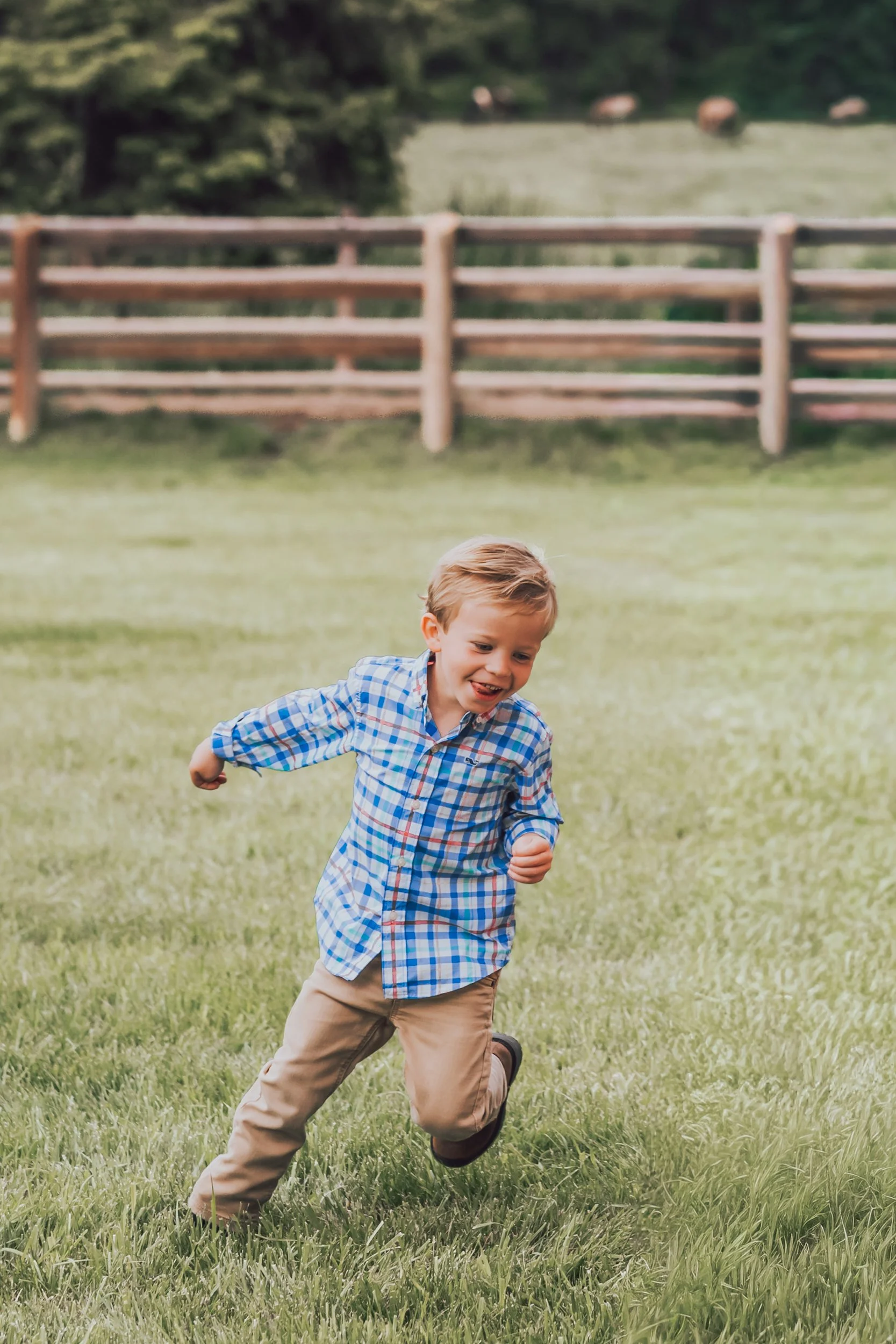FlatheadLakeFamilyPhotographer-27.jpg