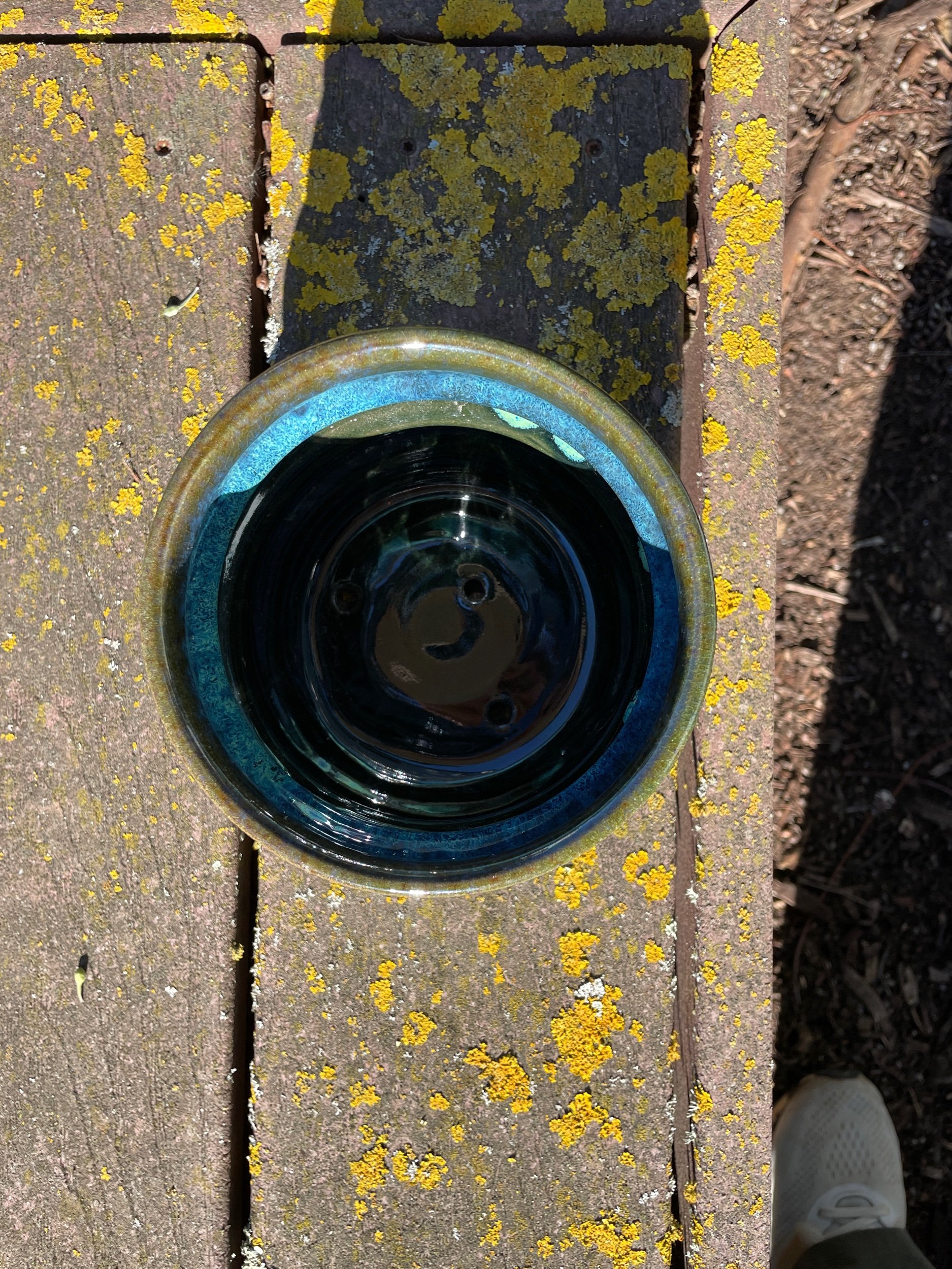 D79EAA70-2807-4915-B82F-1C082D636C61.jpeg