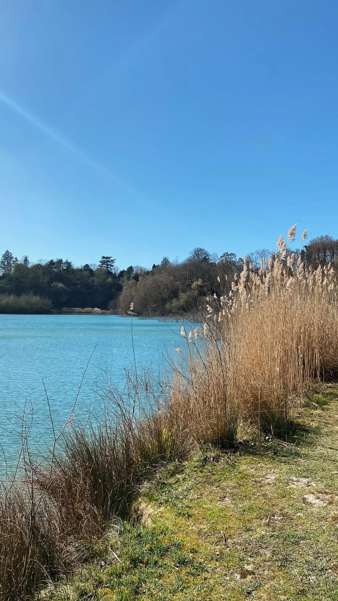 WhatsApp Image 2025-04-14 at 13.49.49.jpeg