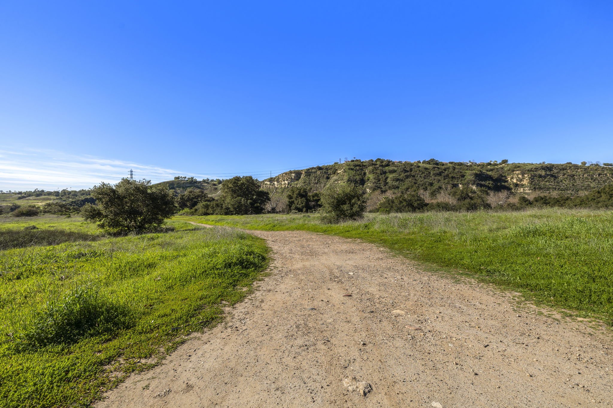 53-web-or-mls-67 Fuente 53.JPG