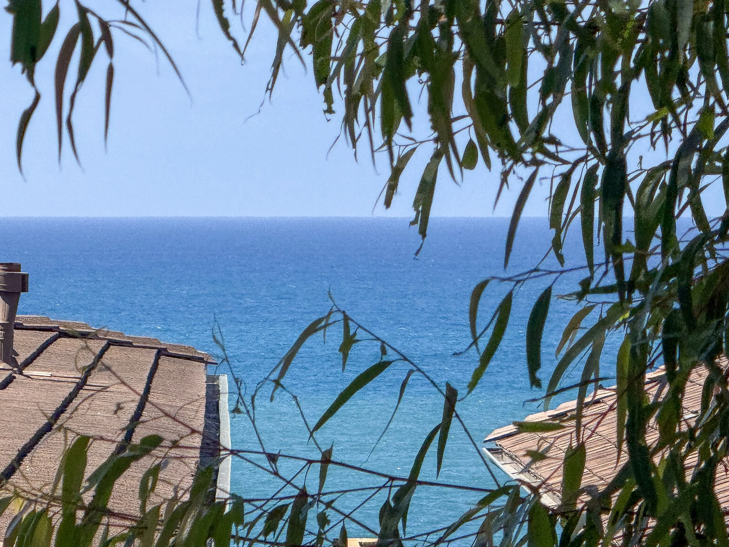 1-IMG_9665.jpg