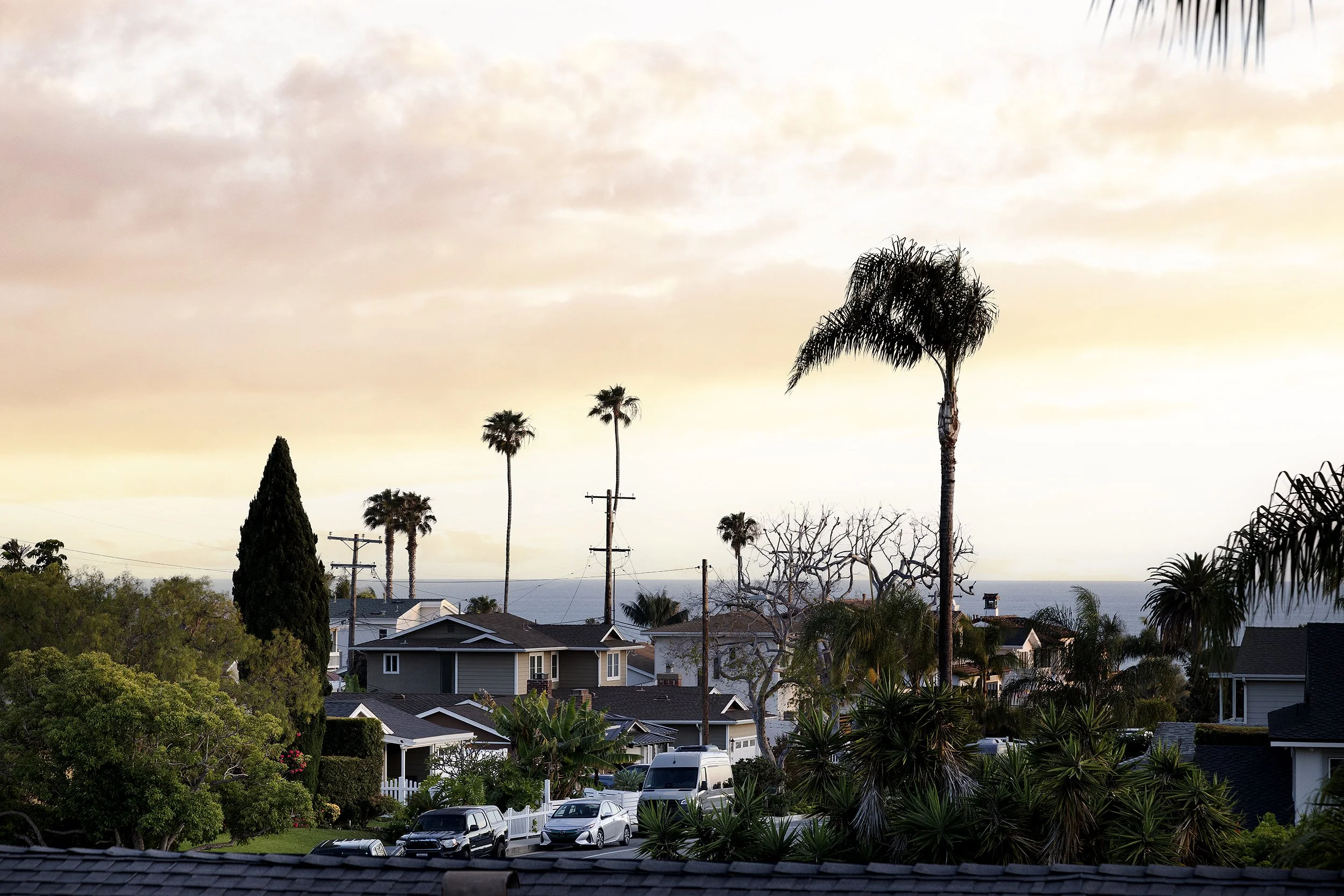 R5_25344.jpg