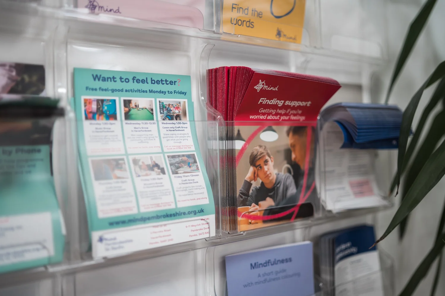 pembrokeshire-and-carmarthen-mind-mental-health-support-in