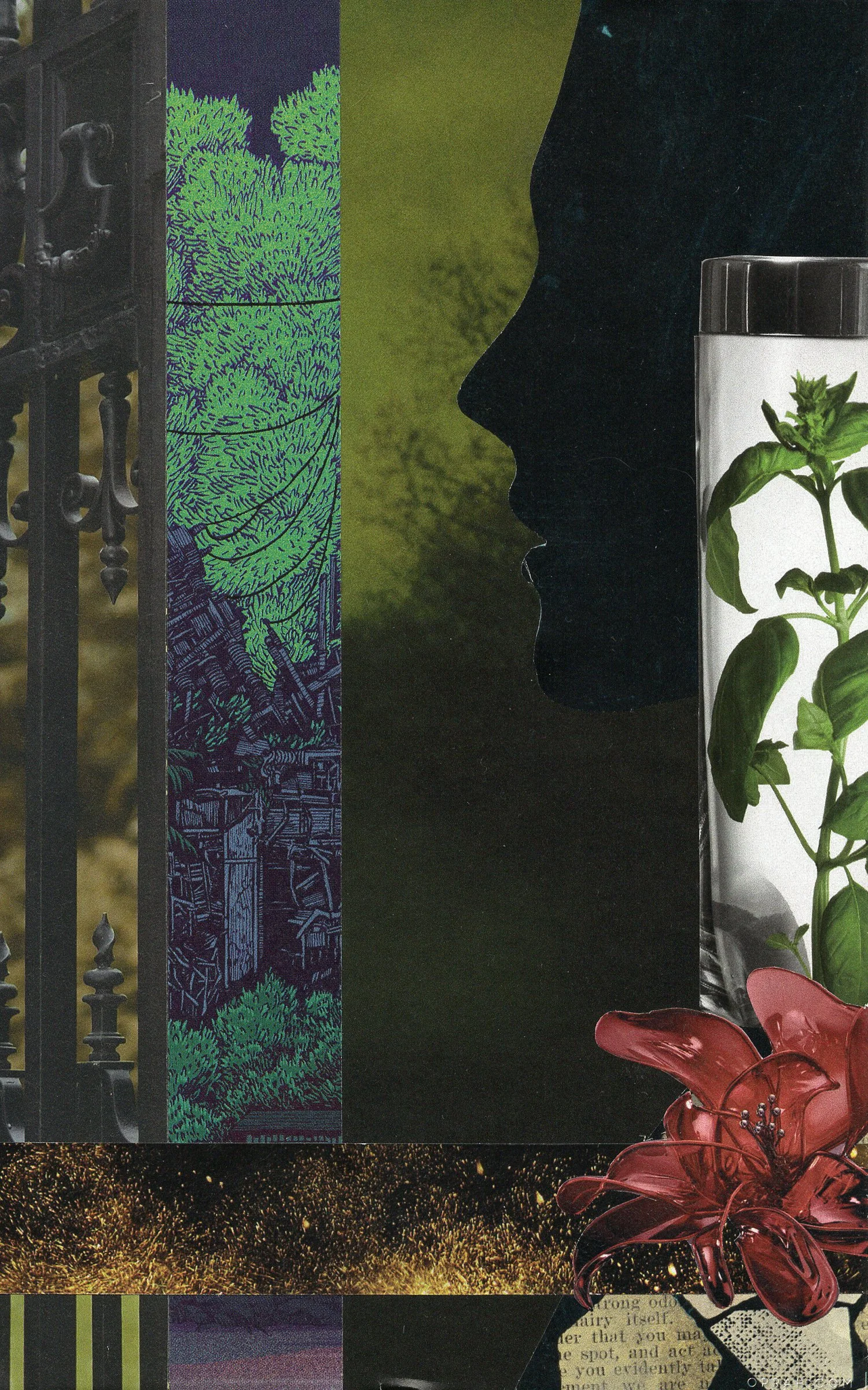 The Flower of Despair