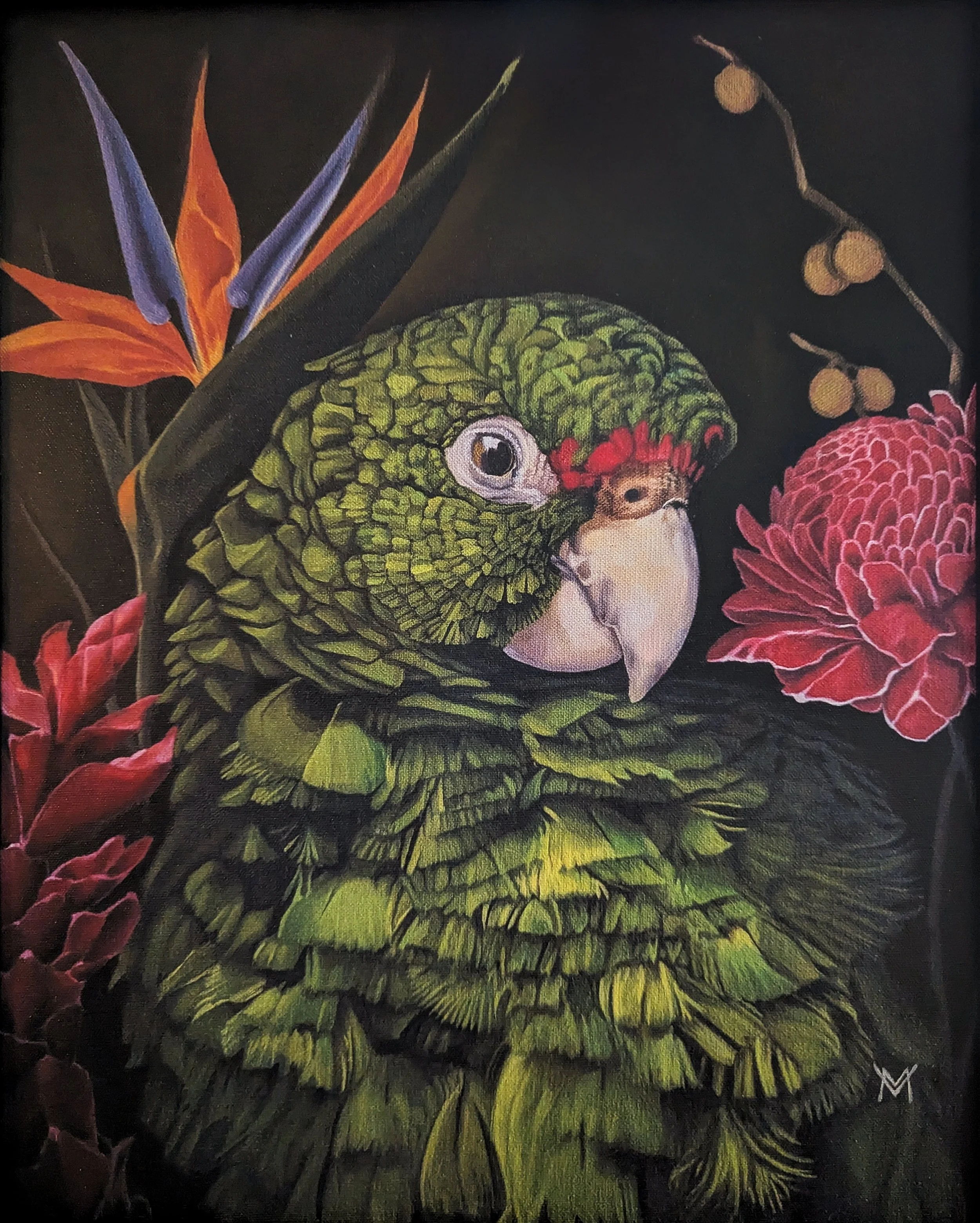 PXL_20241126_030849537~2 (2).jpg