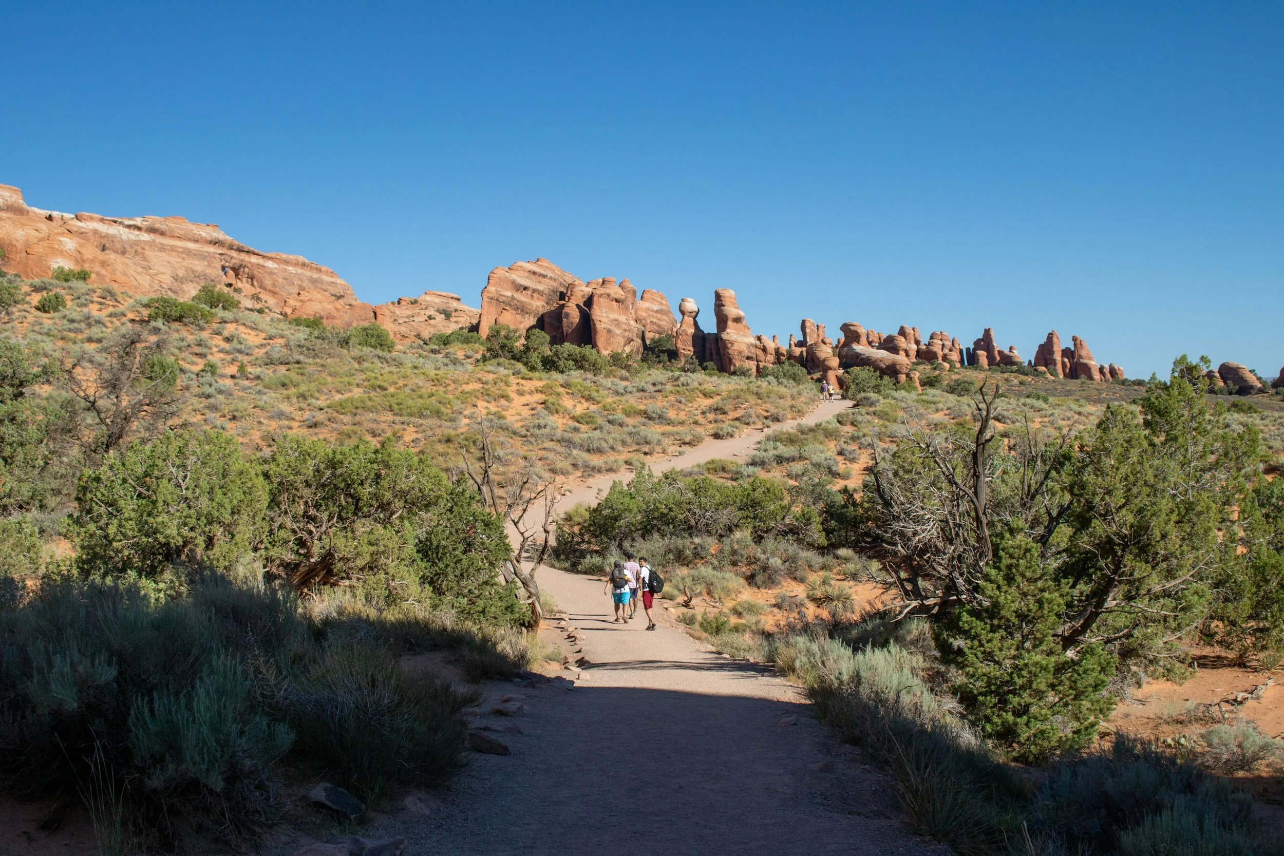 Sunday Sermon - 19 April