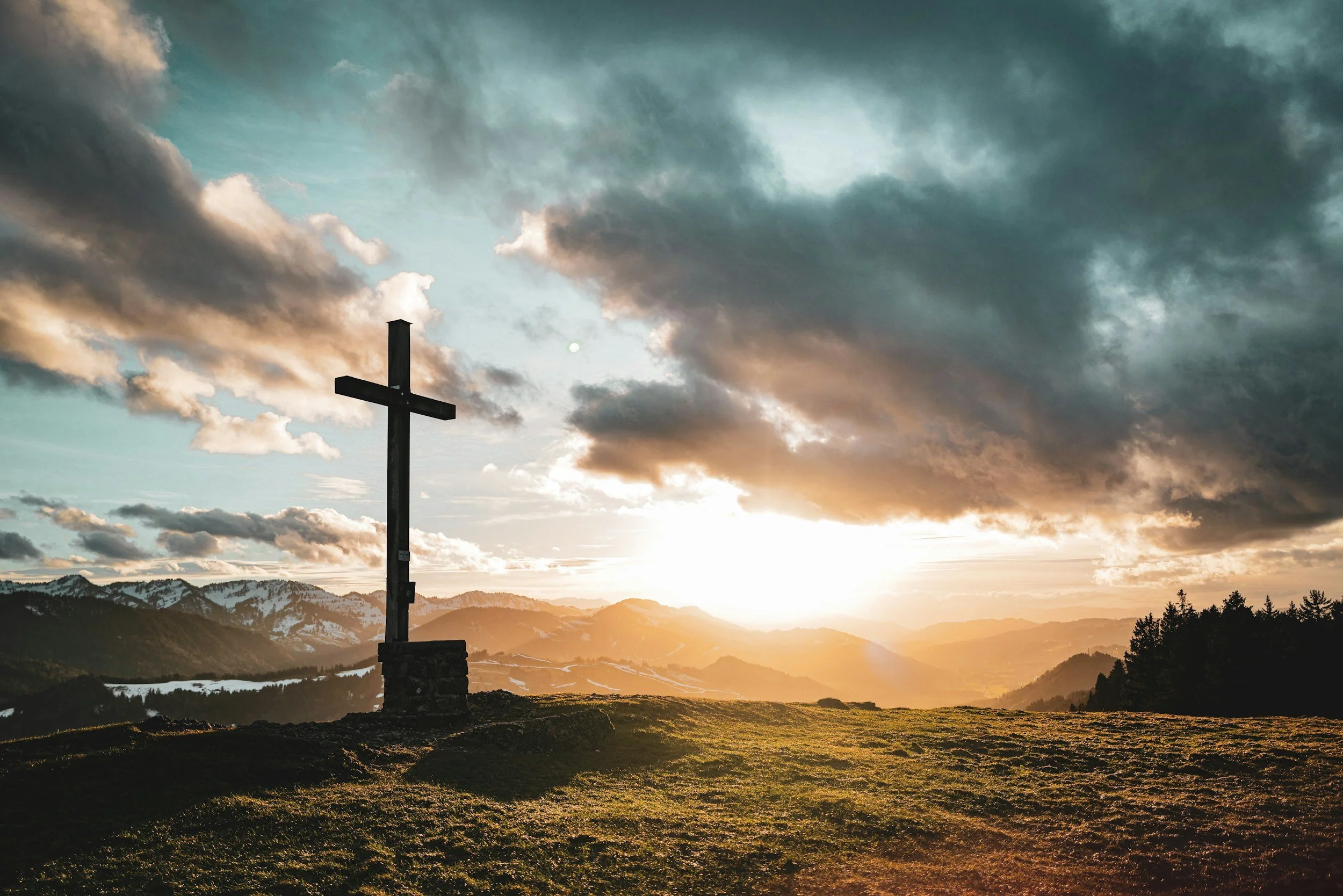 Sunday Sermon - 12 July
