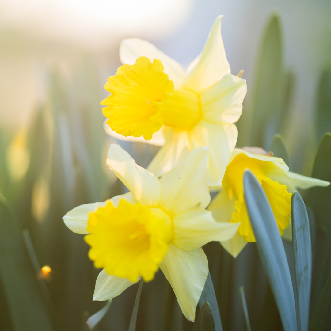 Growth &amp; Expression: The Courage to Be Seen