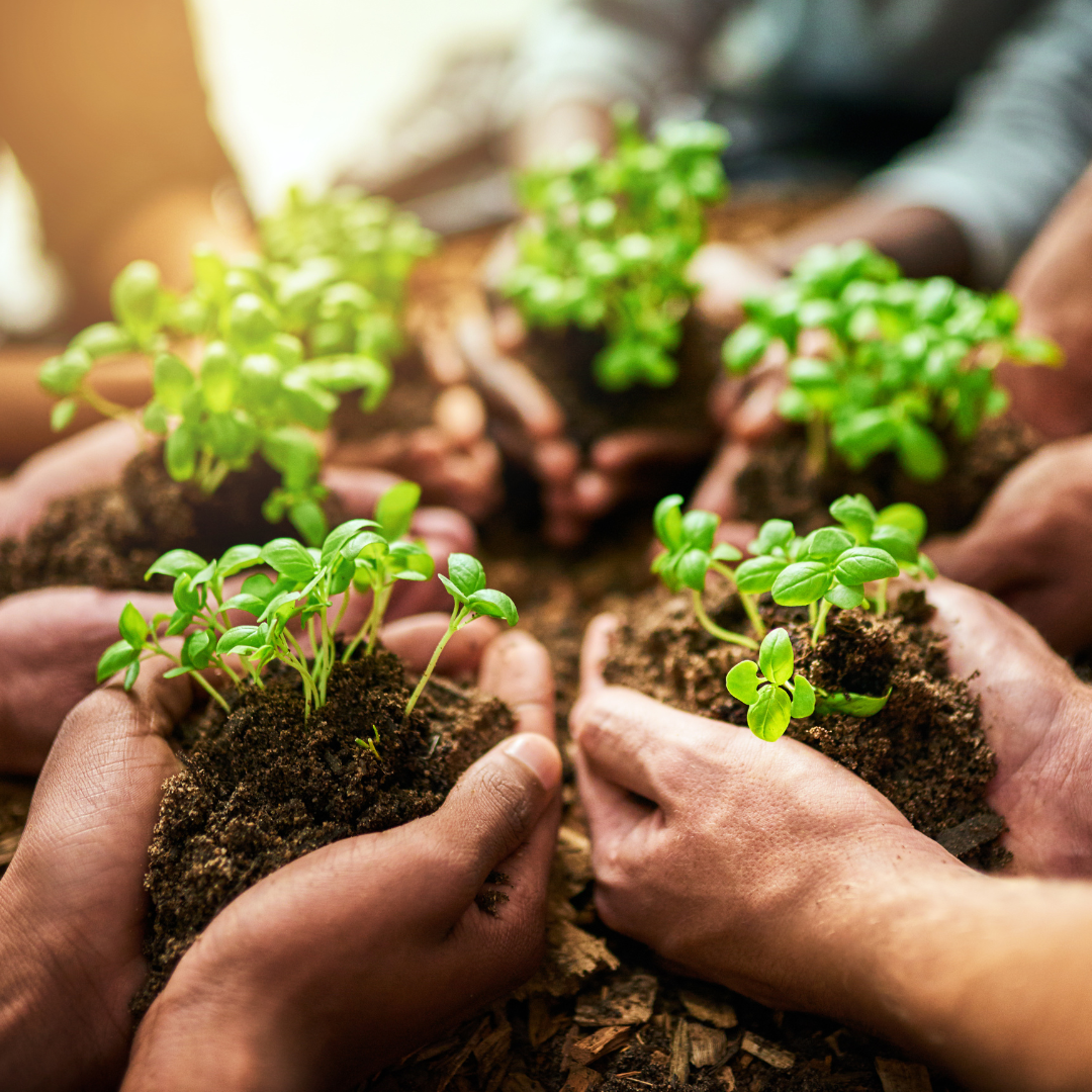 Flourishing &amp; Fullness: The Gift of Being in Full Bloom