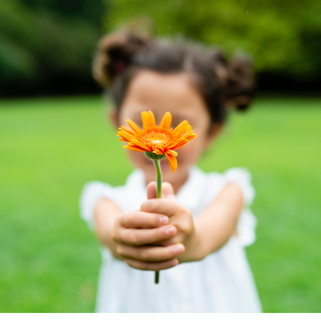 The Gold in Ordinary Things: A Practice of Gratitude