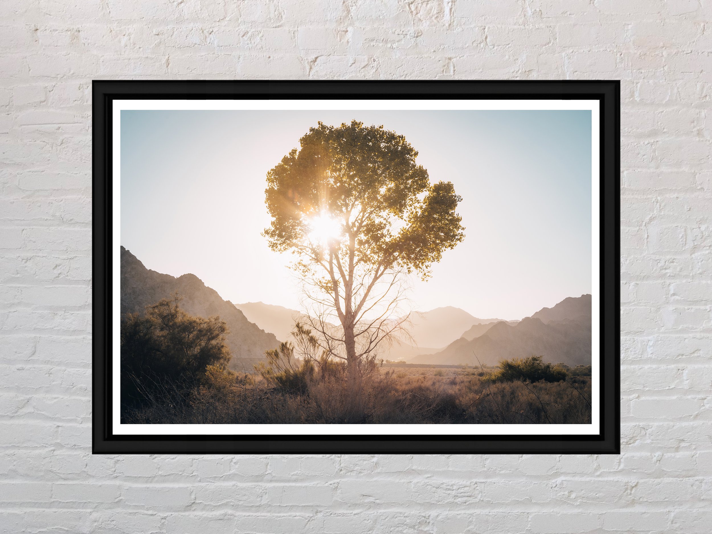 Smiley Tree 13x19.jpg