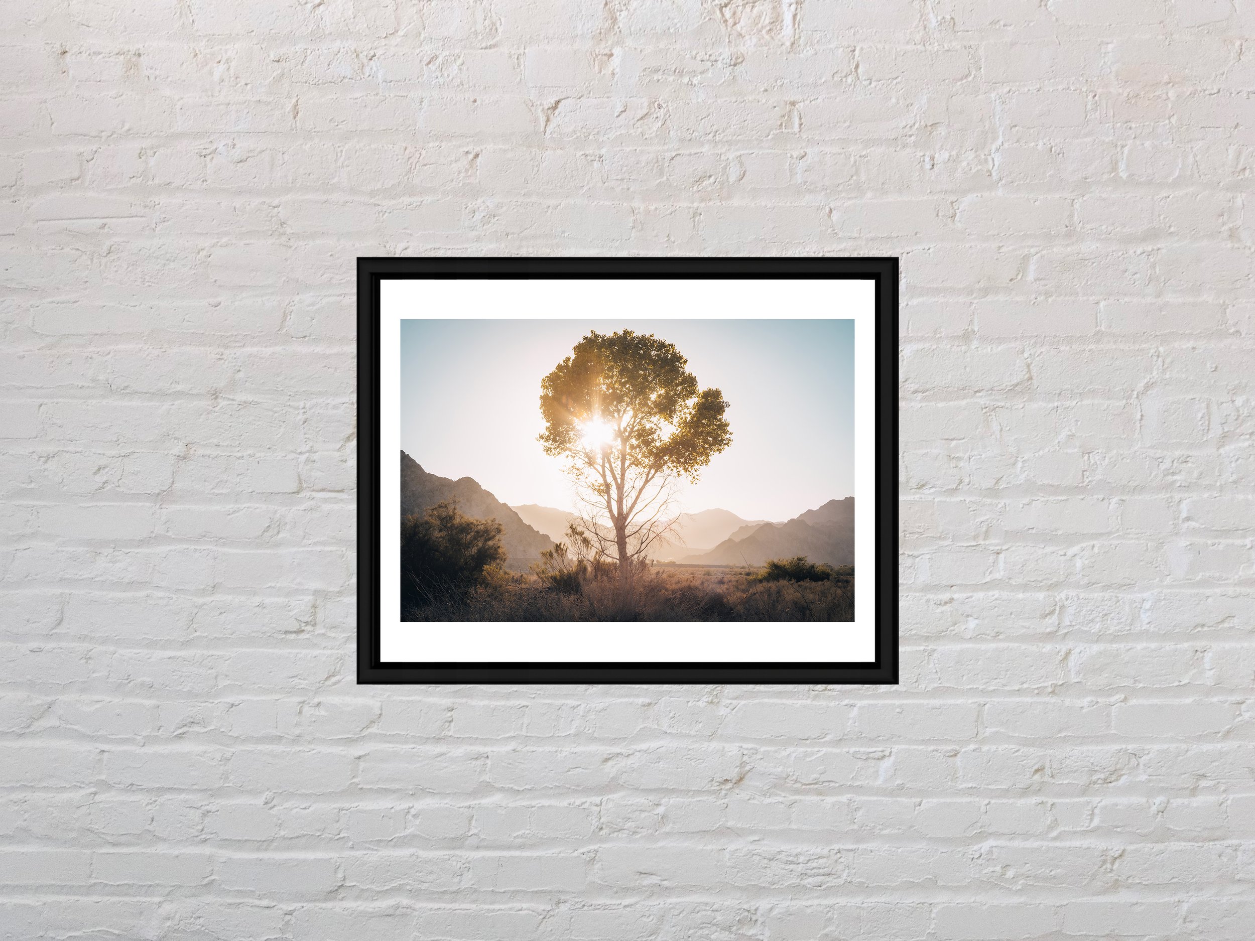 Smiley Tree 11x8.5.jpg