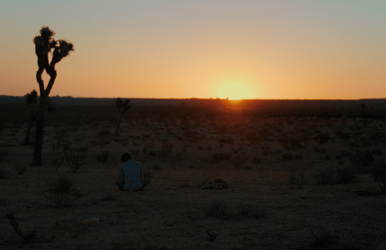 A Drive at Dawn