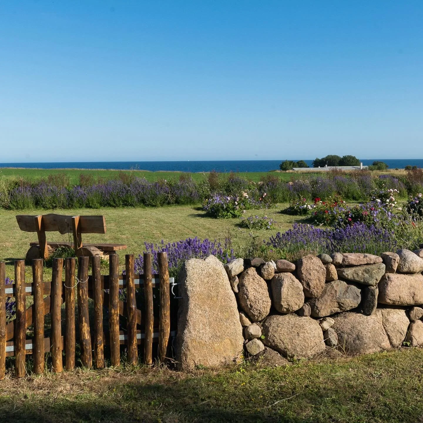 Midt i landskabet finder I vores rosenhave &ndash; en skjult perle med farverige duftende roser, og krydderurter. Haven er omkranset af et h&aring;ndbygget steng&aelig;rde og har en betagende udsigt over havet. Den fredelige atmosf&aelig;re g&oslash;
