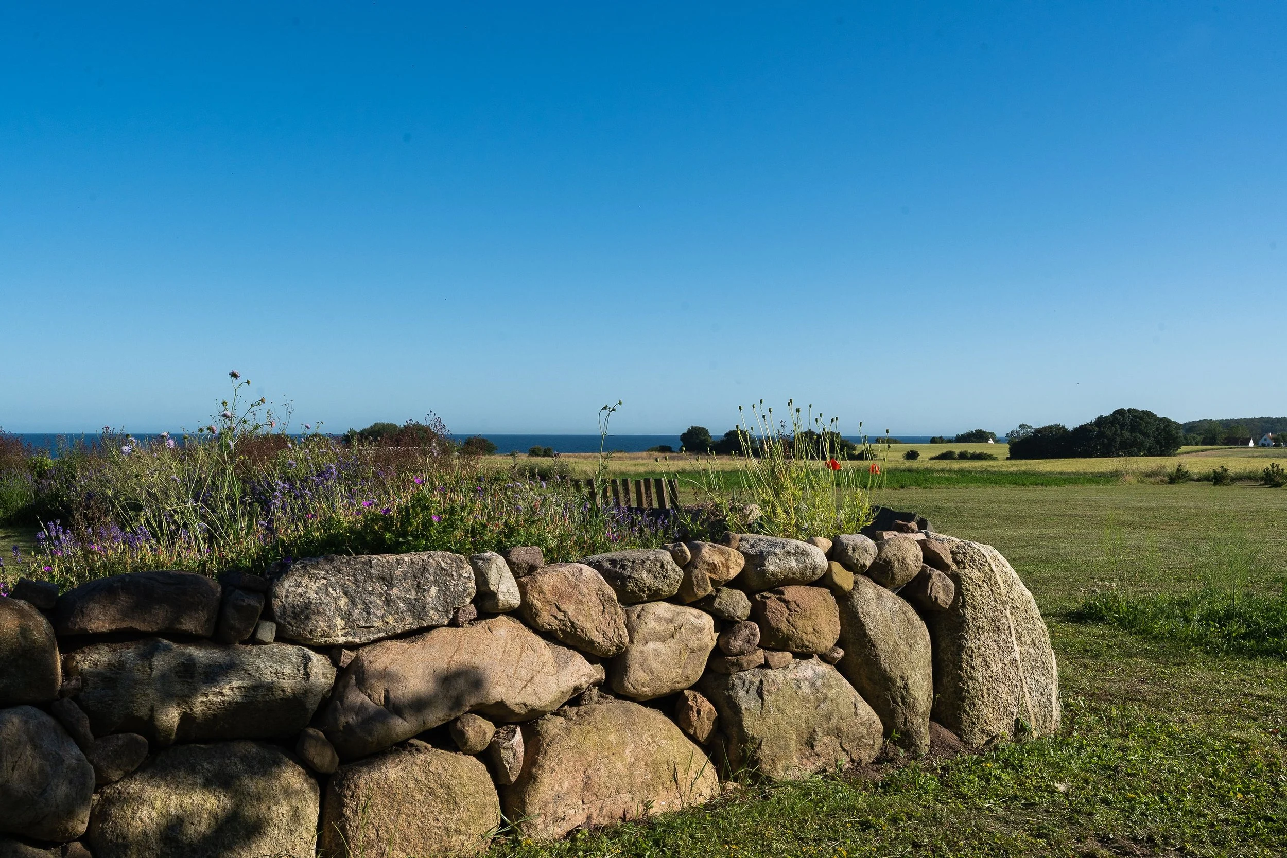 DSC03815 13.39.41.jpg