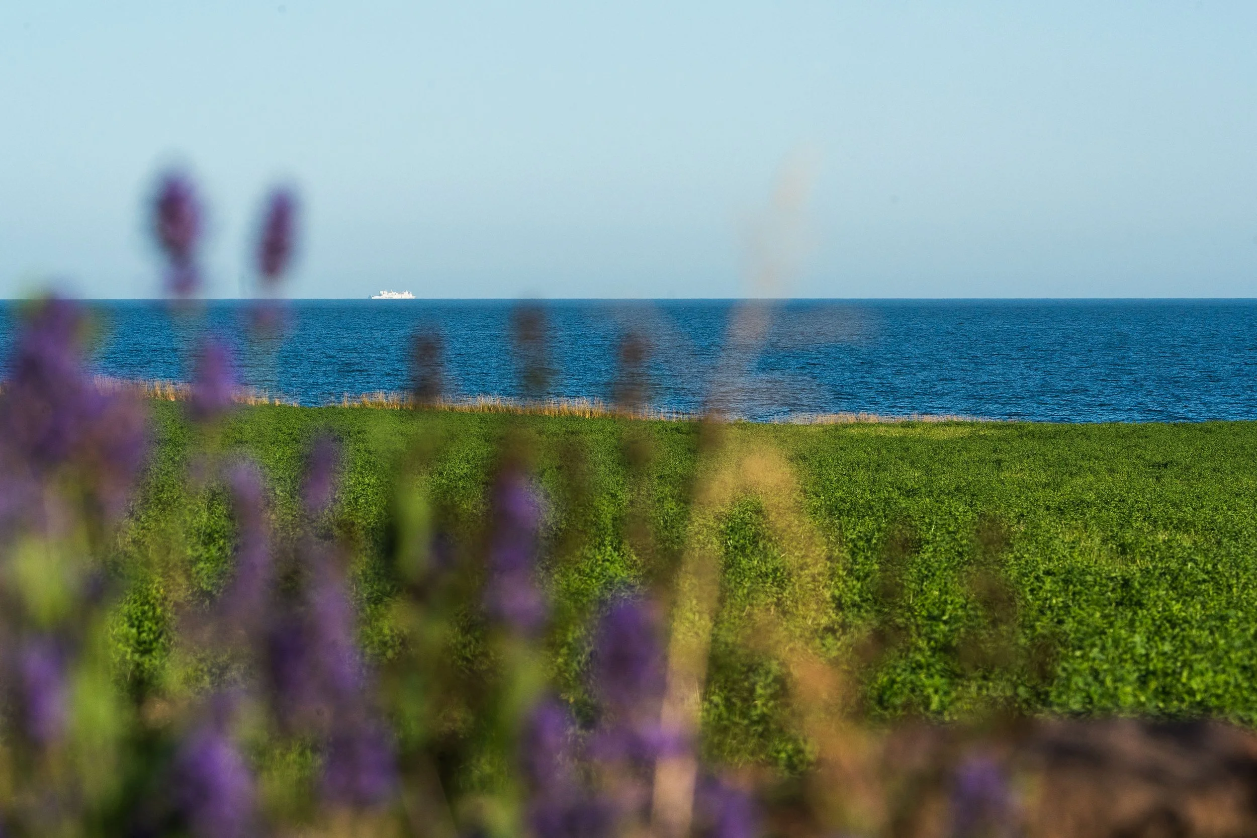 DSC03914 13.39.50.jpg