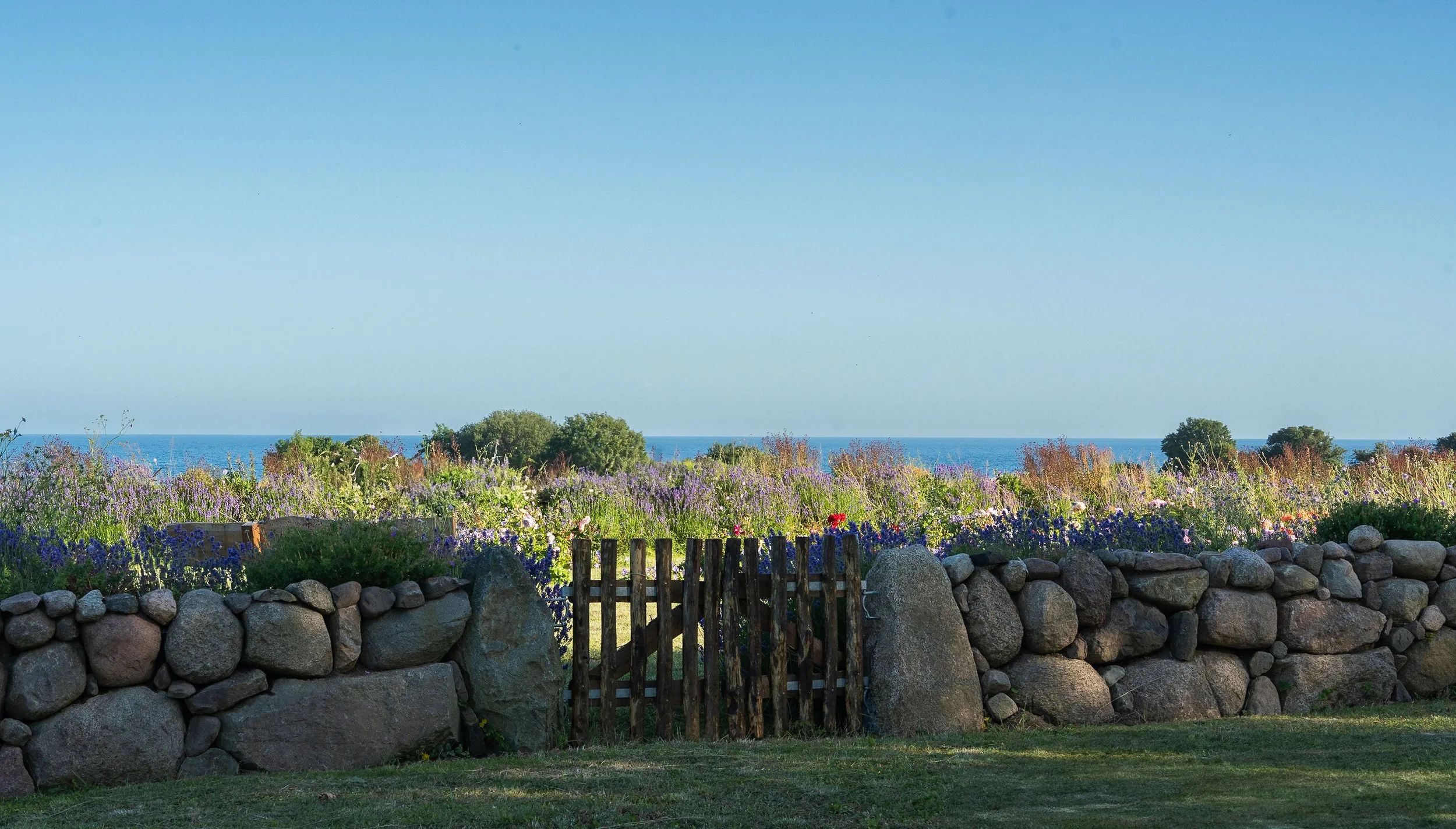 DSC03883 13.39.47.jpg