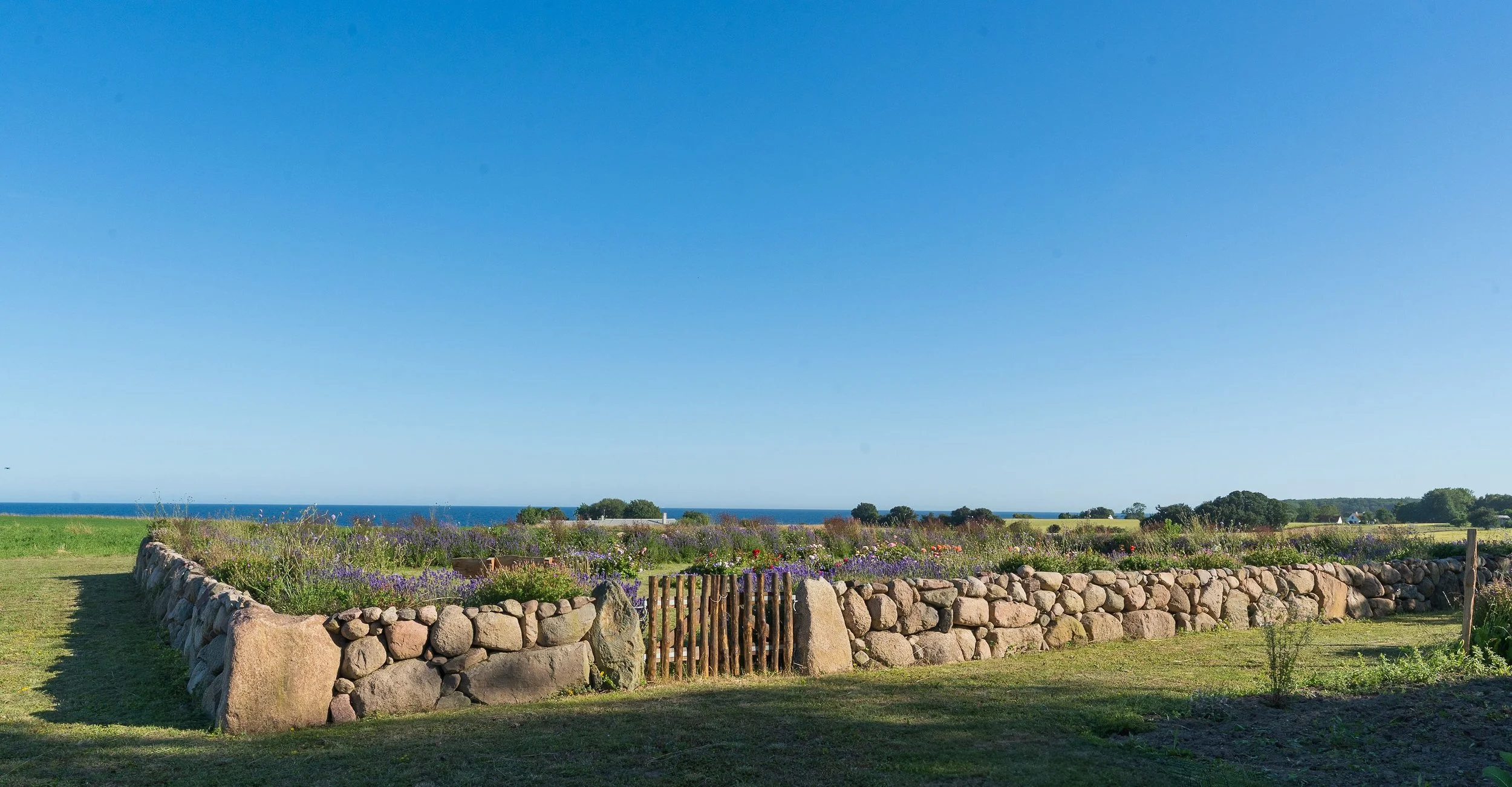 DSC03818 13.39.41.jpg