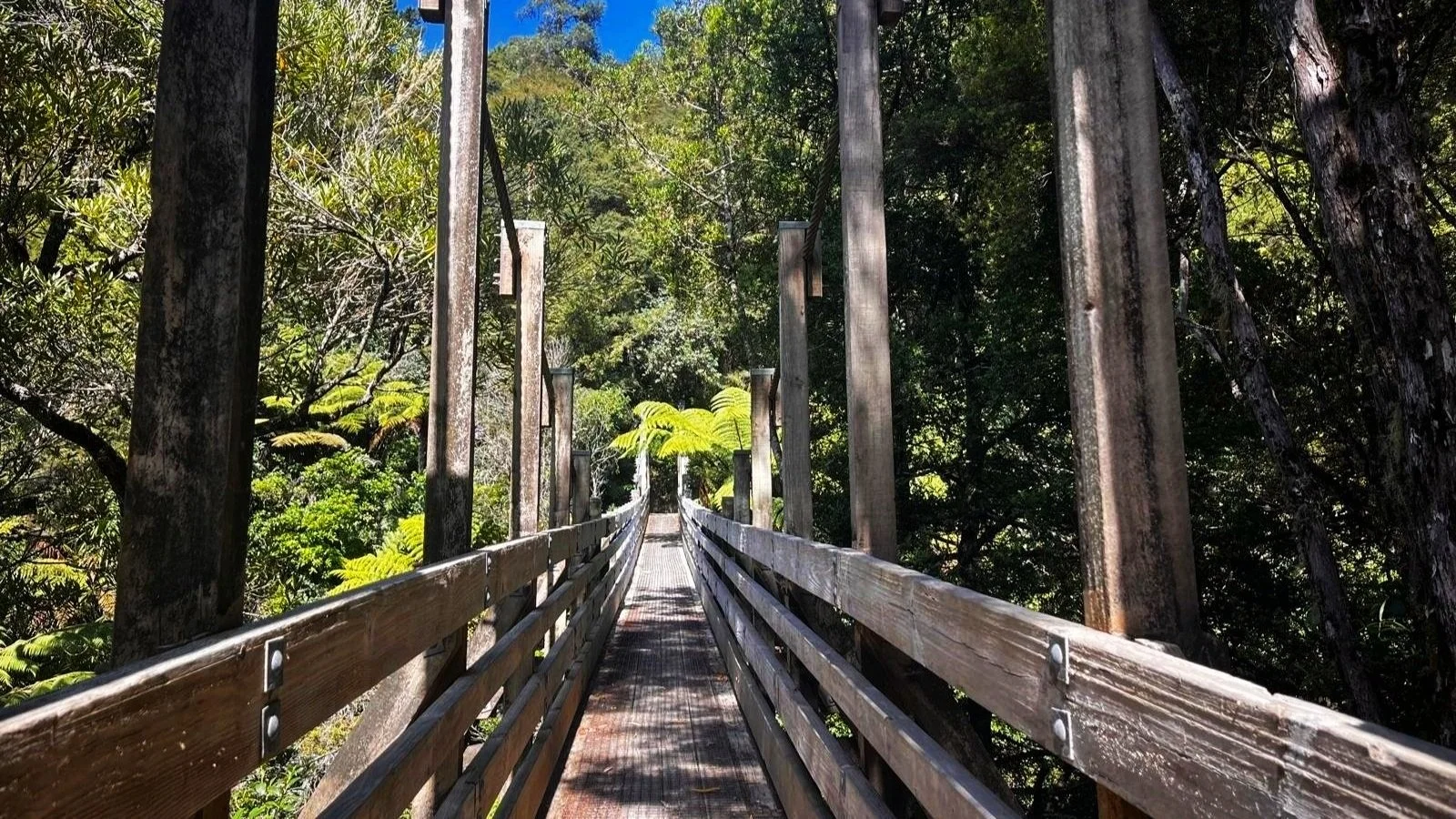 Hunua Suspension Bride Hike Auckland Hiking Community