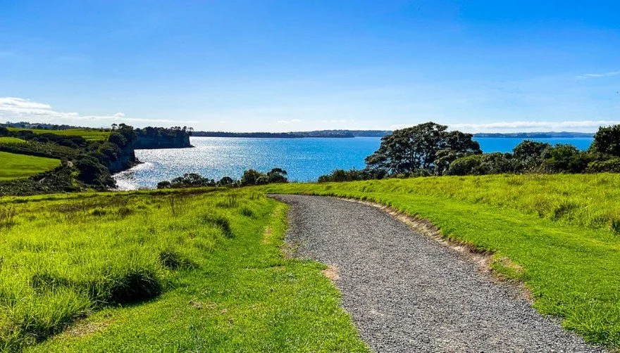 Long Bay Track Womens Walking Group Auckland