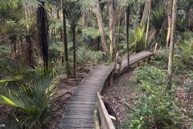 Clevedon Scenic Reserve Hike Auckland Hiking Group